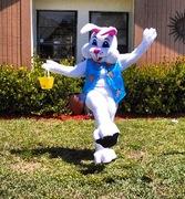 Easter Bunny Character 