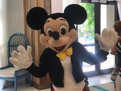 Click here to book your favorite Mascot for 30 min