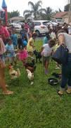 Petting Zoo (Palm Beach) Up to Delray Beach