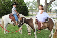 2 Ponies (1 Hour) Broward or Miami 