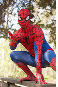 Super Spiderman Character