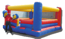 Bouncy Boxing 2 hour rental DELIVERY ONLY 1B