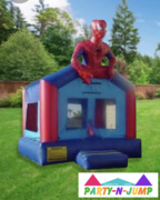 Spiderman-15'X15' 1B