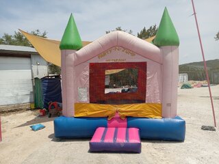 Used Pink castle peak