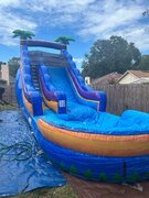20ft Palm Tree Waterslide