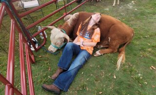 Medium Petting Zoo 