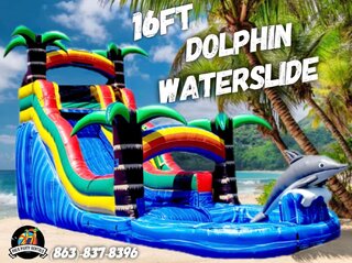 16ft Dolphin Water Slide