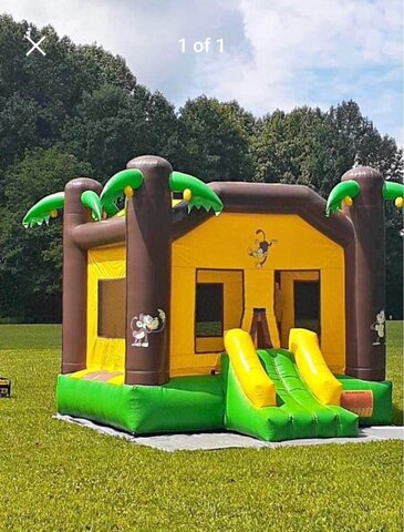 13 x 13 Monkey Moonbounce