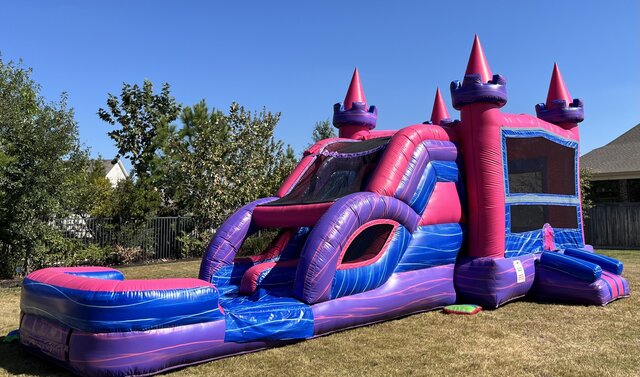 Princess Castle Combo Bounce House and Dual Lane Slide