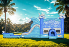 Bounce House Combos