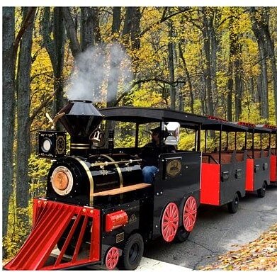 Luxury Trackless Train