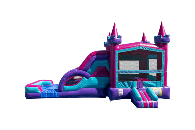 Queen Castle Dual Lane Combo Dry with Bumpstop