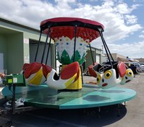 Flying Bugs