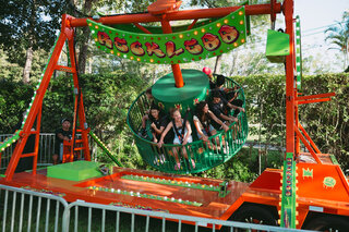 Reckless Mechanical Ride