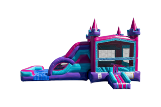 Queen Castle Dual Lane Combo Dry with Bumpstop