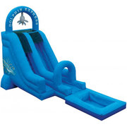 18' Dolphin Express Single Lane Waterslide With Pool 