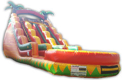 Dual Lane Tropical Fiesta Dry Slide