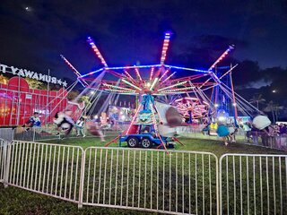 Star Screamer Chain Swings