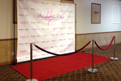 8'x8' Step and Repeat Frame And Custom Vinyl Backdrop And Red Carpet Package