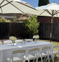 9' Market Umbrella and Stand Rental