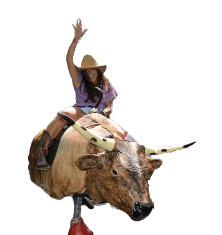 Mechanical Bull