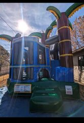 Backyard Combo Jungle With Slide