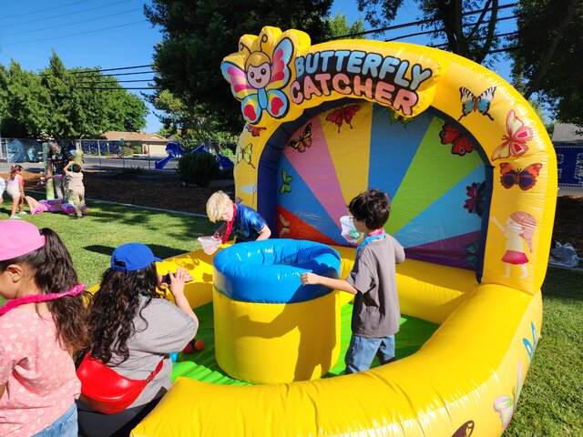 butterfly catcher floating ball game