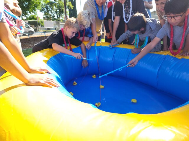 duck pond game