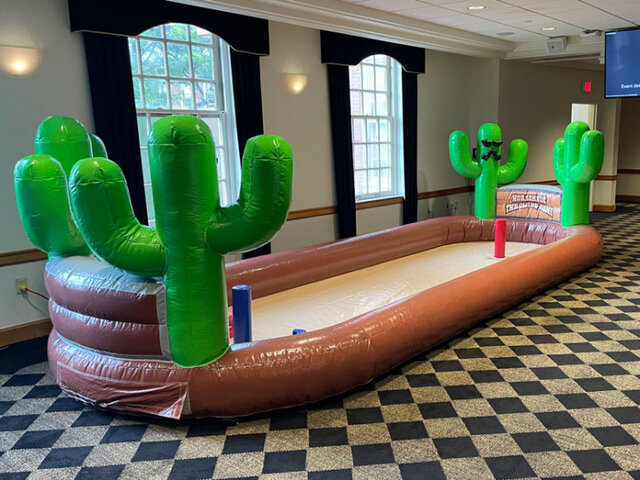 horseshoe throwing game