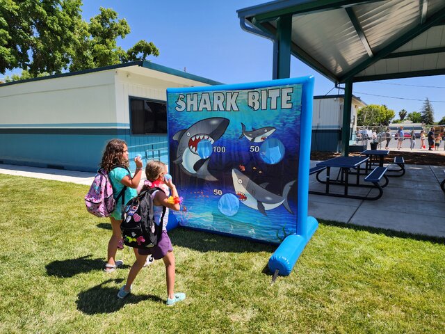 Shark bite kids carnival game