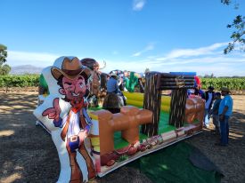 Mechanical Rides and Games