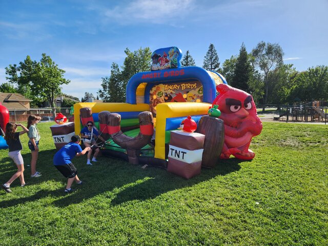 angry bird inflatable game