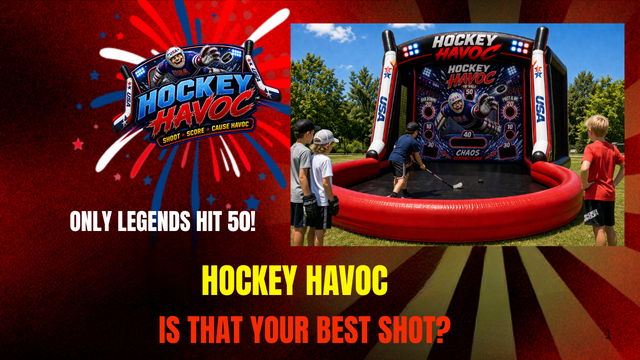 Hockey Havoc Game for Sale