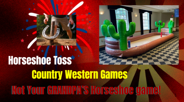 Horseshoe Toss Games