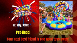 PET-NADO  Adopt a Pet