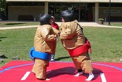 Kids Sumo Wrestling - 20x20