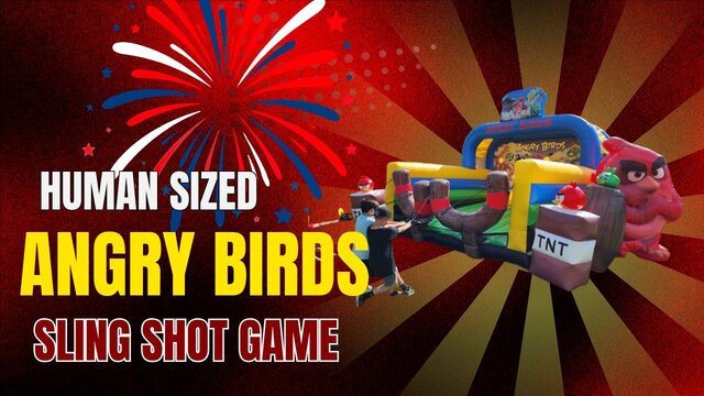 Angry Birds Sling Shot Game