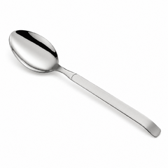 Stainless Steel Serving Spoon