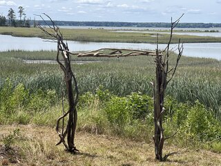 Drift Wood Arch  