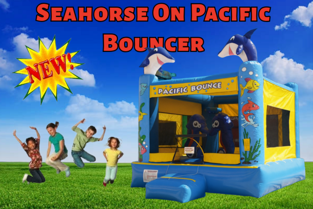 Seahorse On Pacific Bouncer
