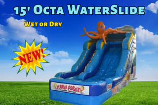 15' Octopus Slide