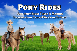 Pony Rides