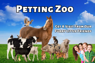 Petting Zoo