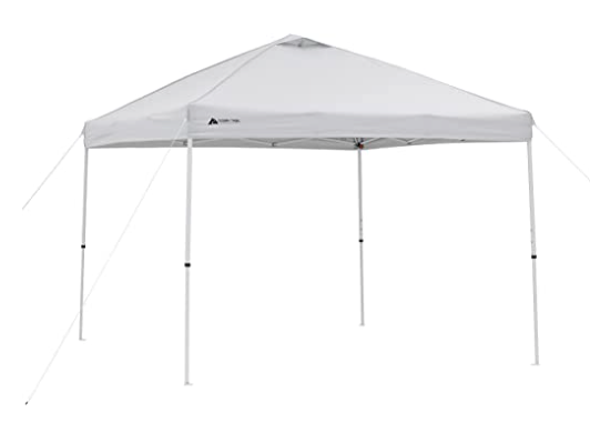 10ft x10ft Canopy Tent