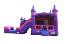 Pink Castle with Dry Slide