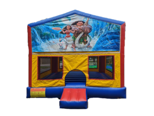 Ninja Fortress Inflatables Combo