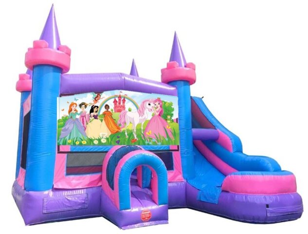 Princess Castle Water Slide Combo
