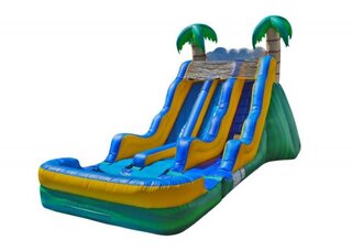 17' 2 Lane Tropical Wave Slide (Dry)