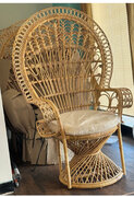 Peacock Wicker chair 