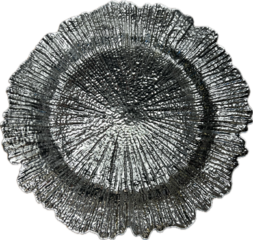 Reef Silver Charger Plate - 13" (10)